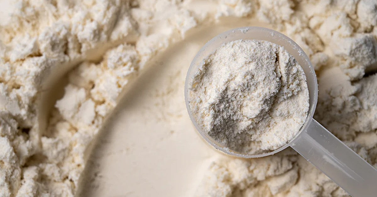 هل البروتين يضر الكلى؟ الحقيقة العلمية